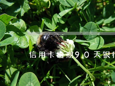 信用卡逾期90天银行会走访吗 信用卡逾期90天银行会走访吗