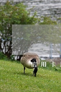 信用卡逾期90天银行发函 信用卡逾期90天银行发函