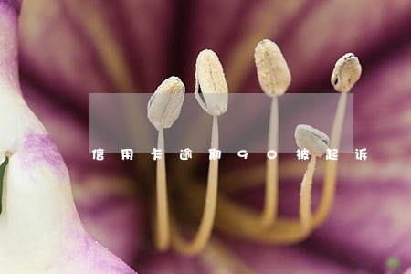 信用卡逾期90被起诉 信用卡逾期90被起诉
