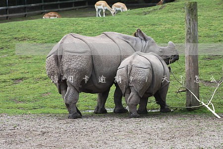 信用卡逾期91天了怎么办