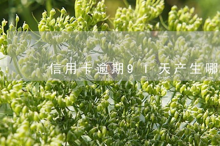 信用卡逾期91天产生哪些费用