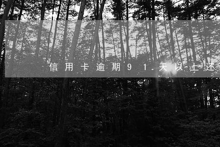 信用卡逾期91天以上还款顺序 信用卡逾期91天以上还款顺序