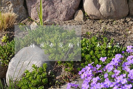 信用卡逾期91天后还 信用卡逾期91天后还