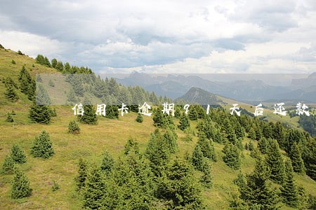 信用卡逾期91天后还款顺序 信用卡逾期91天后还款顺序
