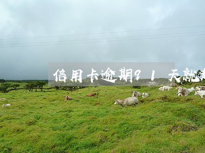 信用卡逾期91天就起诉吗