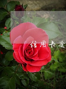 信用卡逾期91天怎么计算时间 信用卡逾期91天怎么计算时间