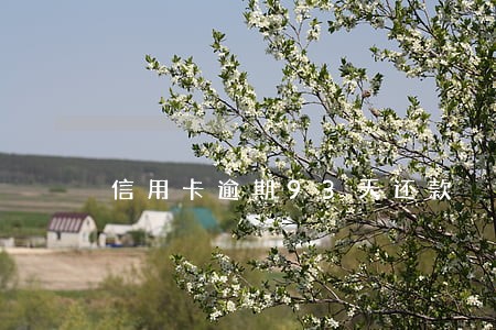 信用卡逾期93天还款 信用卡逾期93天还款