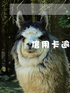 信用卡逾期95595催收 信用卡逾期95595催收
