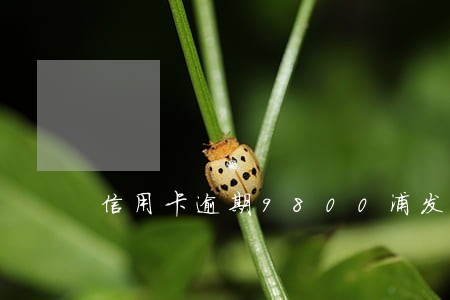 信用卡逾期9800浦发