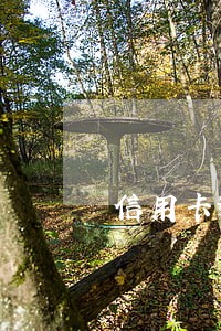 信用卡逾期98天越还越多怎么办 信用卡逾期98天越还越多怎么办