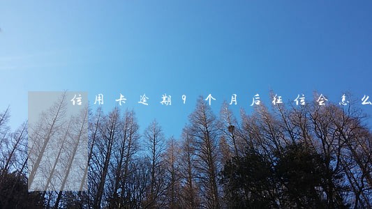 信用卡逾期9个月后征信会怎么样