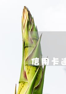 信用卡逾期9个月是黑户吗