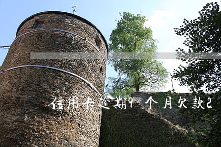 信用卡逾期9个月欠款2W 信用卡逾期9个月欠款2W