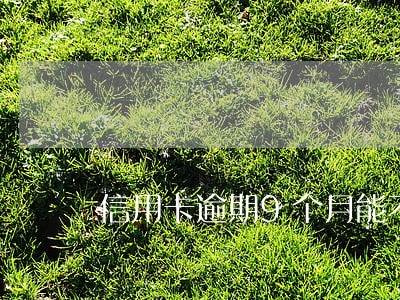 信用卡逾期9个月能不能坐飞机 信用卡逾期9个月能不能坐飞机