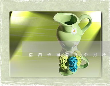 信用卡逾期9个月还能用么 信用卡逾期9个月还能用么