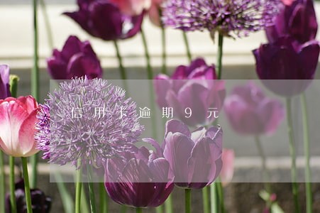 信用卡逾期9元 信用卡逾期9元