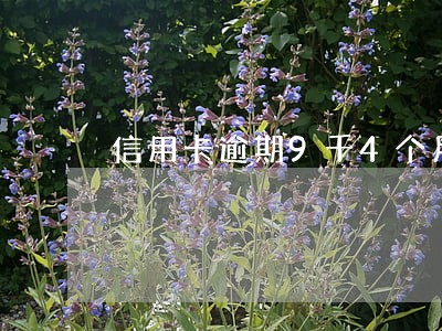 信用卡逾期9千4个月