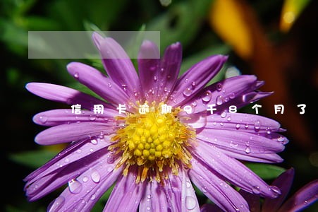 信用卡逾期9千8个月了 信用卡逾期9千8个月了