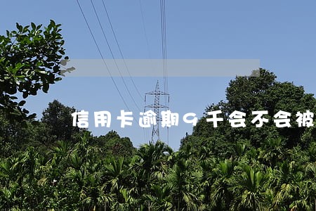 信用卡逾期9千会不会被起诉 信用卡逾期9千会不会被起诉