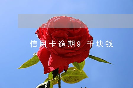 信用卡逾期9千块钱 信用卡逾期9千块钱