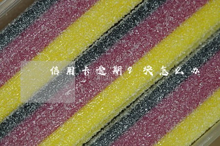 信用卡逾期9块怎么办 信用卡逾期9块怎么办