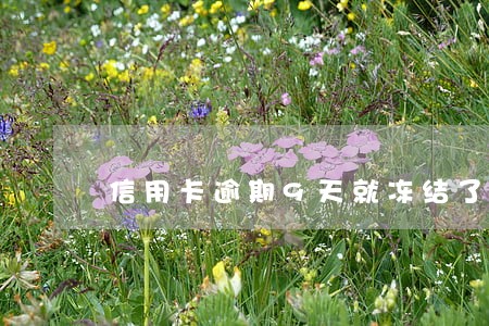 信用卡逾期9天就冻结了
