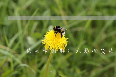 信用卡逾期9天影响贷款吗