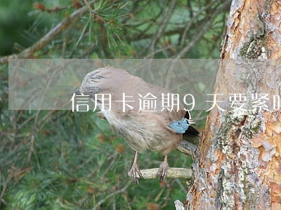 信用卡逾期9天要紧吗 信用卡逾期9天要紧吗