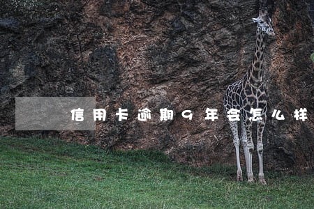 信用卡逾期9年会怎么样 信用卡逾期9年会怎么样