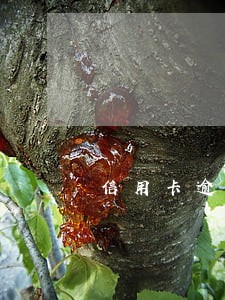 信用卡逾期9年如何协商 信用卡逾期9年如何协商