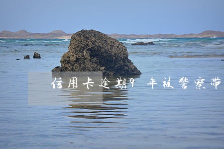 信用卡逾期9年被警察带走 信用卡逾期9年被警察带走