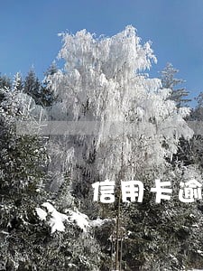 信用卡逾期9月工资不发了 信用卡逾期9月工资不发了