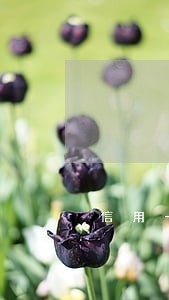 信用卡逾期9期金额小 信用卡逾期9期金额小