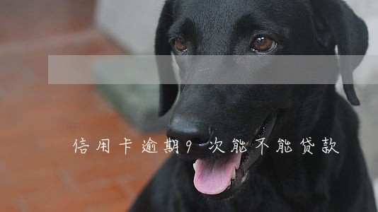 信用卡逾期9次能不能贷款 信用卡逾期9次能不能贷款
