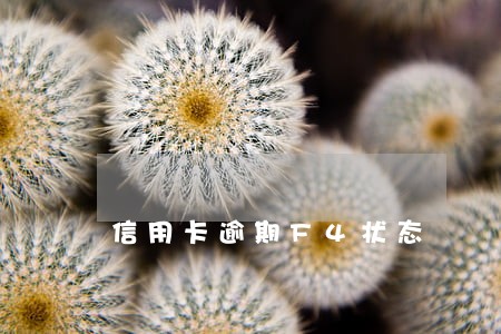 信用卡逾期F4状态 信用卡逾期F4状态
