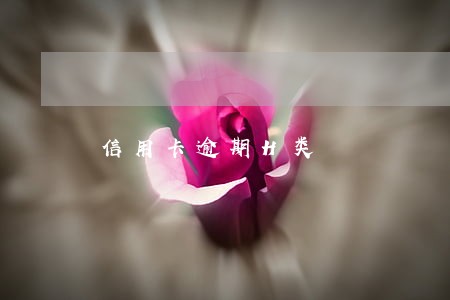 信用卡逾期H类 信用卡逾期H类