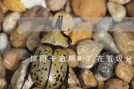 信用卡逾期M7在五级分类 信用卡逾期M7在五级分类