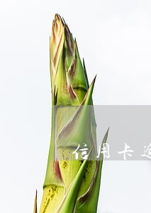 信用卡逾期QQ 信用卡逾期QQ