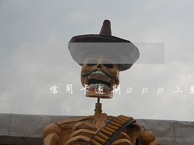 信用卡逾期app上是怎么显示的 信用卡逾期app上是怎么显示的