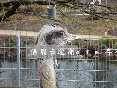 信用卡逾期atm存不进款