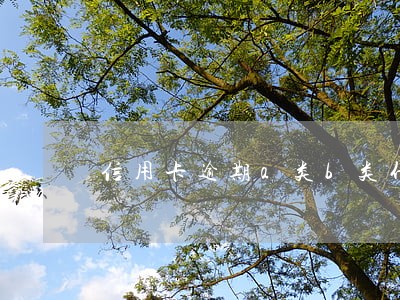 信用卡逾期a类b类什么意思 信用卡逾期a类b类什么意思