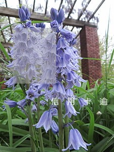 信用卡逾期be 信用卡逾期be