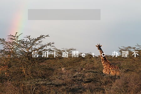 信用卡逾期etc办理不出来 信用卡逾期etc办理不出来