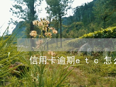 信用卡逾期etc怎么解绑