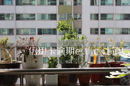 信用卡逾期etc注销后果 信用卡逾期etc注销后果