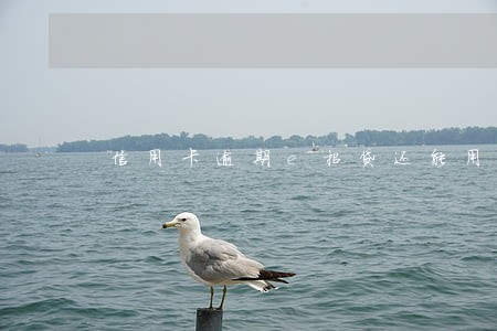 信用卡逾期e招贷还能用么