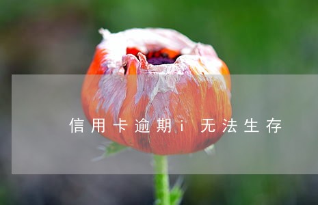 信用卡逾期i无法生存 信用卡逾期i无法生存