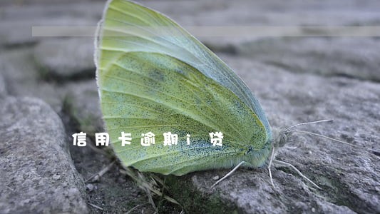 信用卡逾期i贷 信用卡逾期i贷