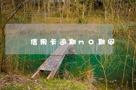 信用卡逾期m0期间