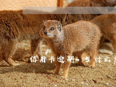 信用卡逾期m5什么意思 信用卡逾期m5什么意思